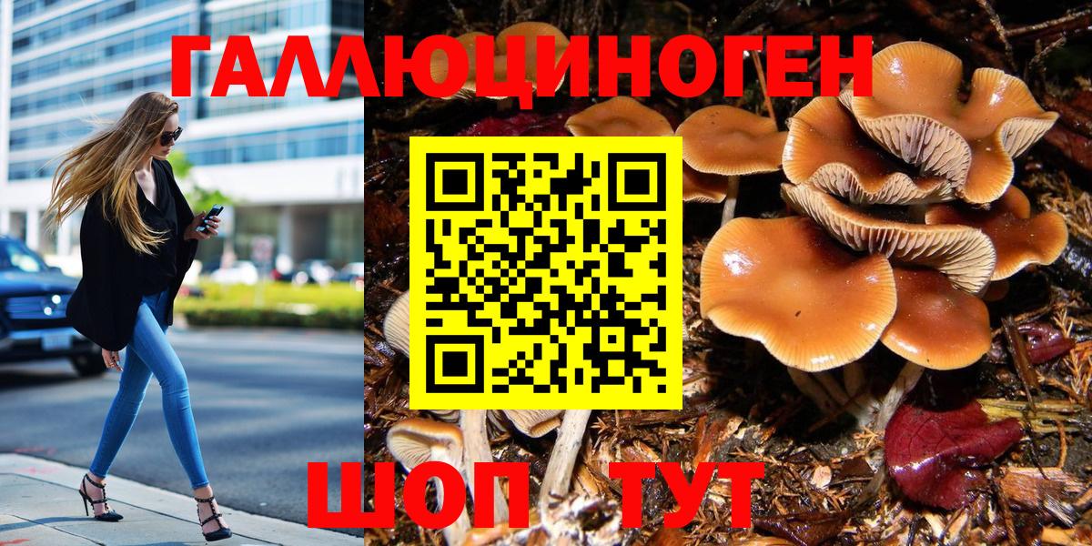 Волгодонск  Псилоцибиновые грибы мухоморы  Вход с VPN 