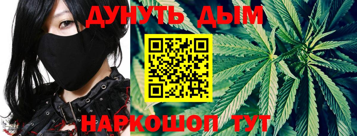 Марихуана конопля Волгодонск